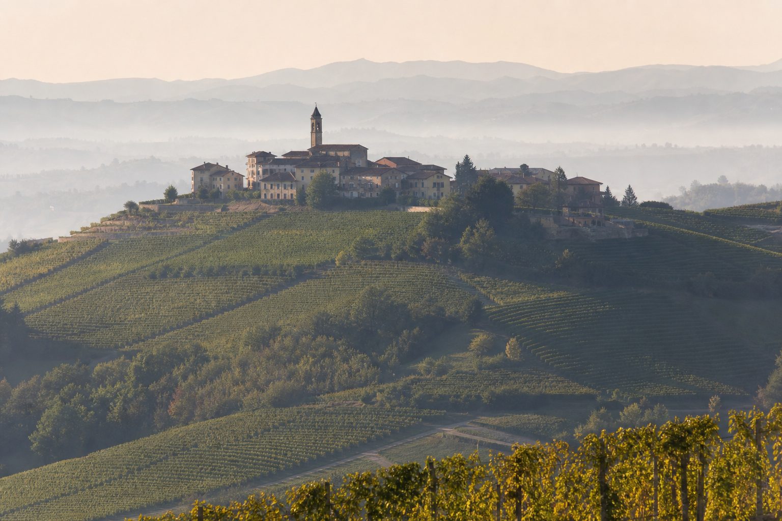 Case in pietra chiara e campanile sottile in cima a una collina coltivata a vigneto, viste da un crinale vicino