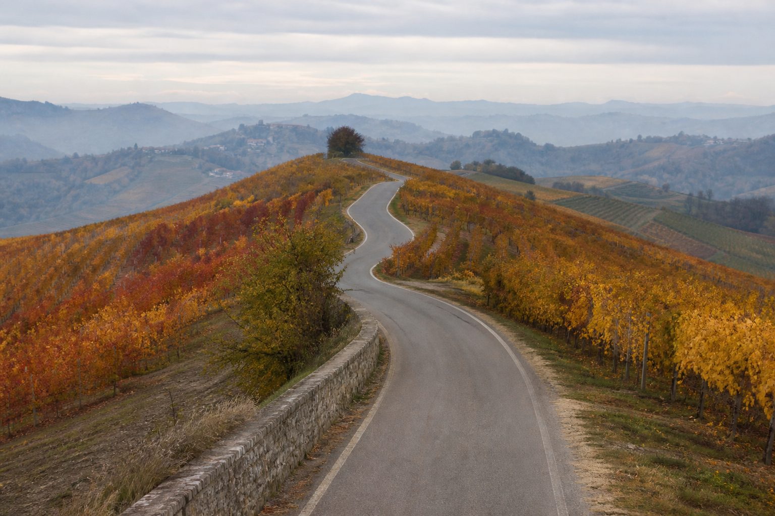 Strada asfaltata che segue il crinale fra i vigneti in autunno, con colline azzurrine sullo sfondo